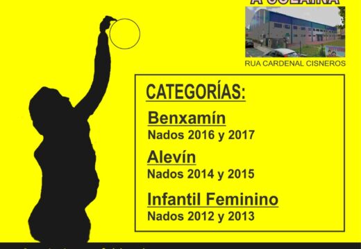 O XVI Torneo ‘Cidade de Narón’ congrega a base do voleibol este sábado na Solaina