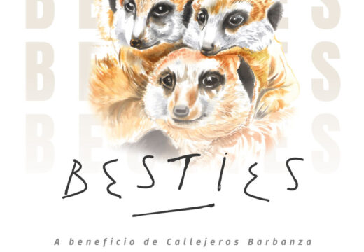 Pilar Ageitos inaugura a exposición Besties no 19 de decembro ao abeiro do Nadal Cultural do Concello de Ribeira