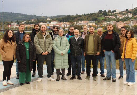 O BNG leva de novo ao Congreso a problemática da Ponte de Pedra para esixir unha solución integral e urxente á mobilidade no Eume