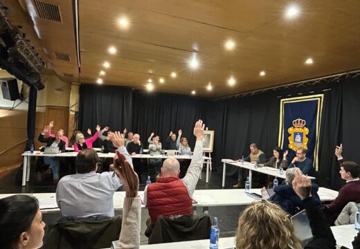 O Concello de Ribeira aproba en pleno iniciar os trámites para facerse co legado artístico e a biblioteca de Manuel Ayaso