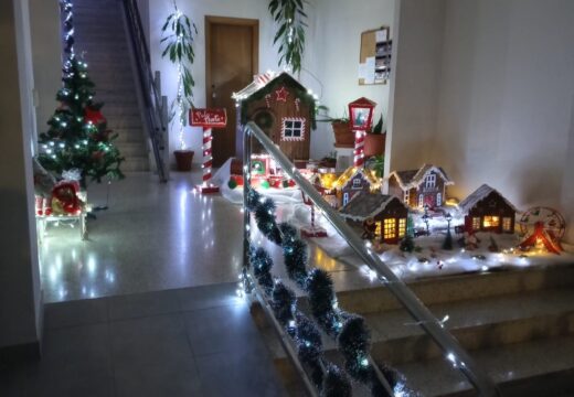 O Concello de Fene anuncia as persoas e establecementos gañadores do Certame de Decoración de Nadal