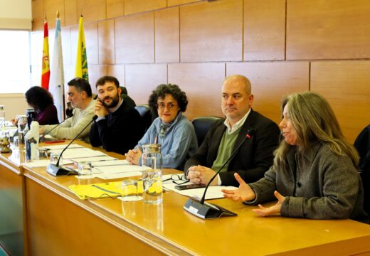 Alingua aproba o seu Plan de Acción 2026 cunha aposta pola profesionalización e o relanzamento do programa Apego.