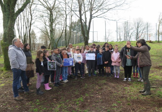 O concello felicita ao CEIP Alfredo Brañas por ser premiado pola Fundación María José Jove no marco do programa “Aprender do bosque