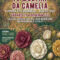 A Casa Mariñeira acollerá os días 21 e 22 de marzo a IV Mostra da Camelia