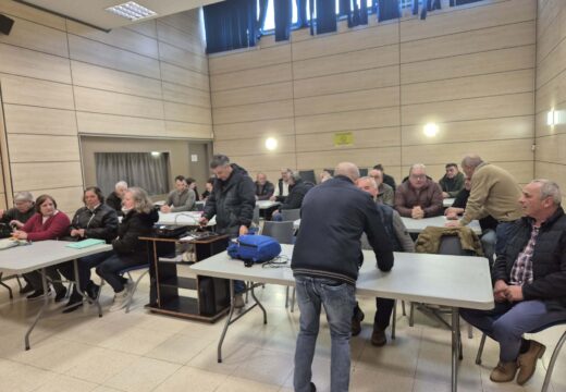 Comeza unha nova edición do Curso de Poda e Enxertos dos Concellos de Frades e Mesía con 29 participantes