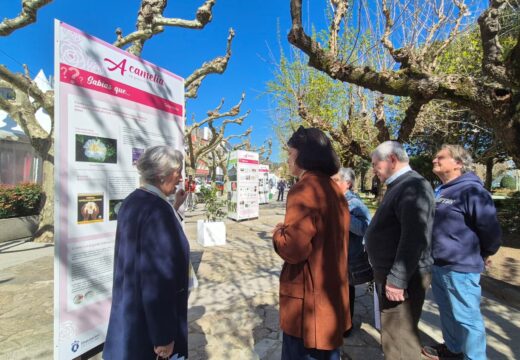Os Xardíns de Valle-Inclán acollen unha exposición sobre ‘A Camelia na provincia da Coruña’