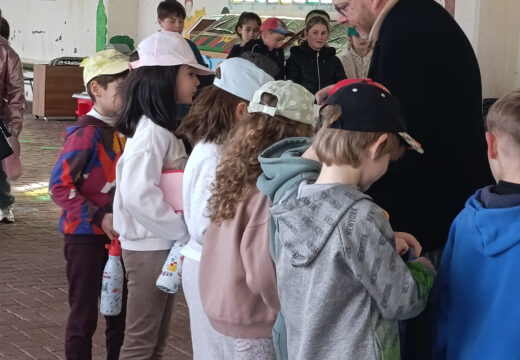 O Concello de Frades reparte material divulgativo entre a comunidade escolar e os maiores do centro sociocomunitario polo Día da Muller