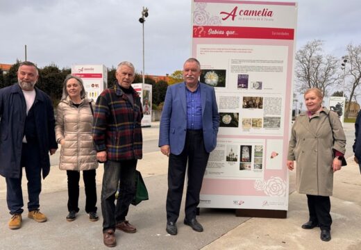 Inaugúrase unha exposición sobre a camelia en Esther Pita