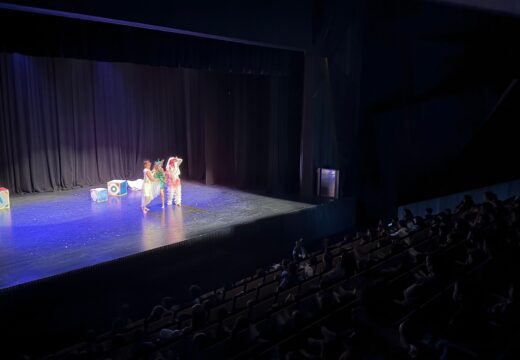 Máis de 400 escolares de Ribeira celebraron o Día do Libro co espectáculo O arcón de Noa