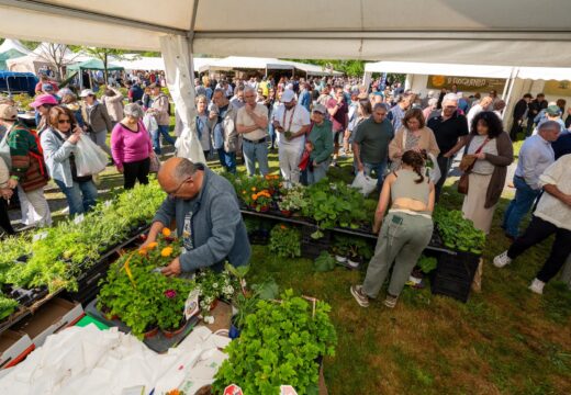 A XXIX Feira da Plantación estreará a primavera en San Sadurniño o domingo 26 de abril