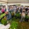 A XXIX Feira da Plantación estreará a primavera en San Sadurniño o domingo 26 de abril