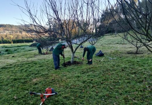 Abegondo logra a concesión dun novo obradoiro de emprego, conxunto con Bergondo, Carral, Oza Cesuras, Paderne e Sada
