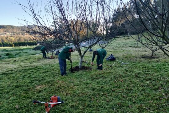 Abegondo logra a concesión dun novo obradoiro de emprego, conxunto con Bergondo, Carral, Oza Cesuras, Paderne e Sada