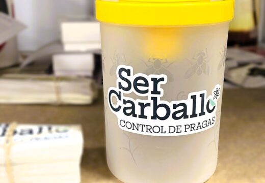 O Concello de Carballo afronta o segundo mes da campaña de trampeo de primavera cun esforzo sostido na loita contra a avespa velutina