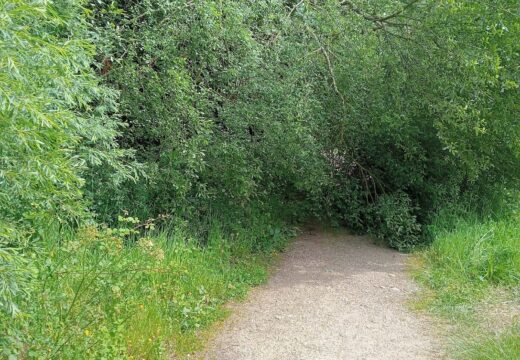 O paseo do Mero acumula maleza e incidencias sen avances no seu mantemento
