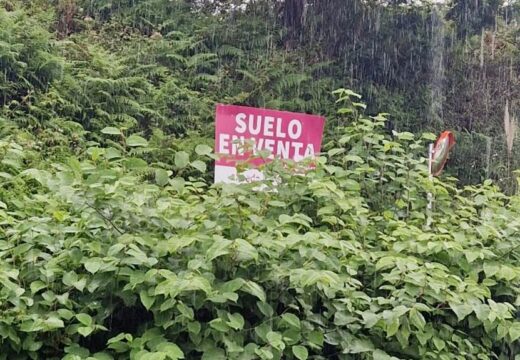 O PP de Culleredo denuncia atrasos nas rozas e esixe máis control municipal ante as queixas veciñais