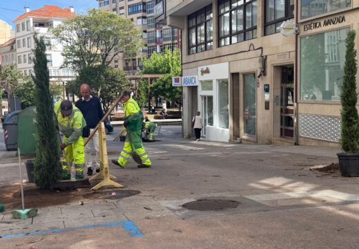 O Concello de Ribeira destina máis de 5.000 euros para novas árbores e plantas dentro do plan municipal de reverdecemento