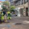 O Concello de Ribeira destina máis de 5.000 euros para novas árbores e plantas dentro do plan municipal de reverdecemento