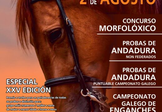 A Festa do Cabalo de Teixeiro cumprirá un cuarto de século o 2 de agosto