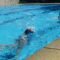 Neda abre este martes as inscricións para as actividades acuáticas infantís na piscina municipal