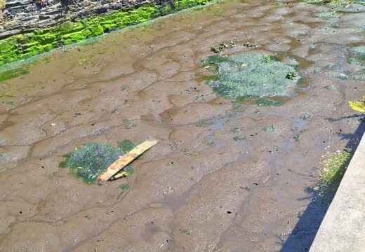 O Concello de Fene acometerá en agosto a limpeza do cubo do muíño do Parque Lineal do río Cádavo