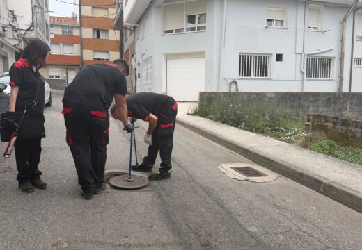 O Concello de Ribeira executa unha campaña especial fronte a roedores e cucarachas
