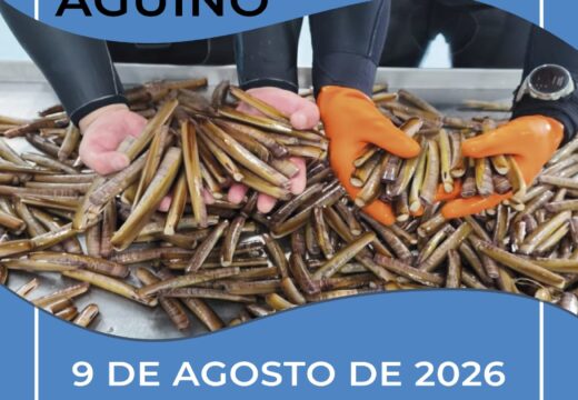 A décima edición da Festa da Navalla de Aguiño repartirá 600 quilogramos do bivalvo no 9 de agosto