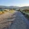 Alternativa denuncia no pleno o grave abandono do viario do CLT de Ledoño