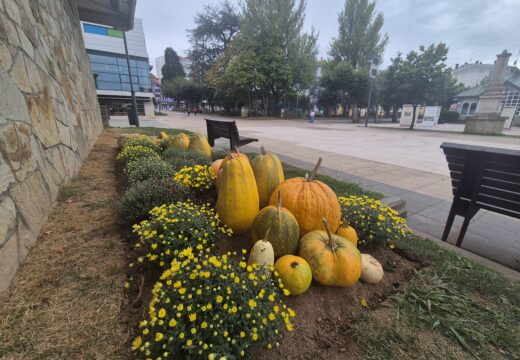 Carballo convida a vivir o outono presumindo de xardíns e dándolles unha nova vida ás plantas de temporada