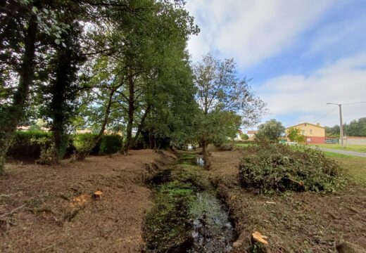 En marcha os traballos de retirada da vexetación do río Basteiro entre As Augas e Santa María