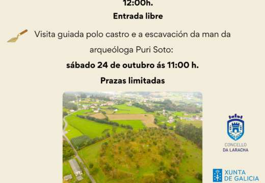 Iniciada a sétima campaña de escavación arqueolóxica no Castro de Montes Claros