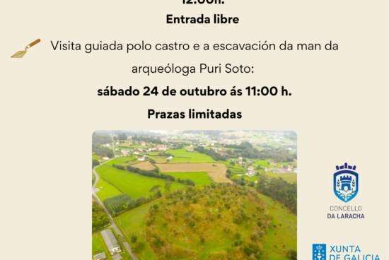 Iniciada a sétima campaña de escavación arqueolóxica no Castro de Montes Claros